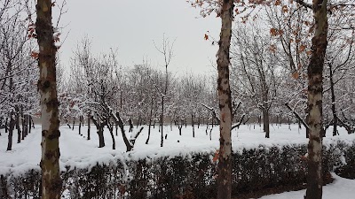 Photos of گروه صنایع دستی جم
