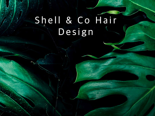 Shell & Co. Hair Design