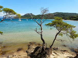 Photo n°3 de Agence immobilière Hyères Les Clés du Soleil Immobilier Hyères à Hyères (Agent immobilier)