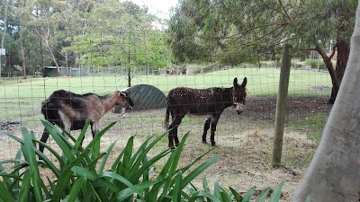 Photos of The Log Cabin Ranch