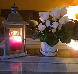 Photo n°12 de Le Clos Saint-Germain à Rugles (Hôtel)