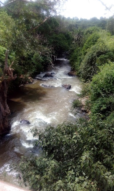Photos of Karatai Farm