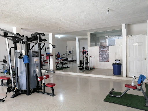 Locky's Gym