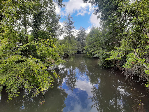 Parc Chaigneau - Thumbnail