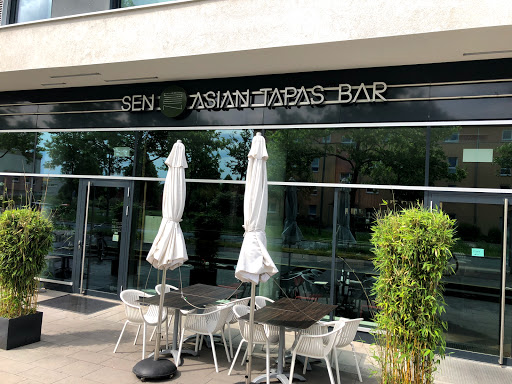SEN Bar - Visual