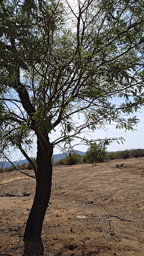 SANTIX RANCH - Visual