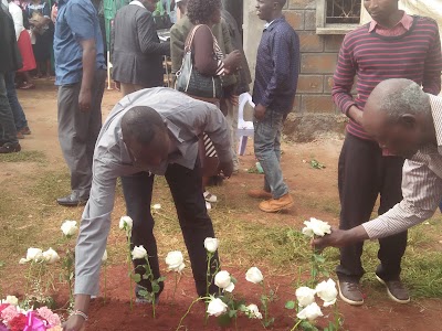 Photos of Mungoni