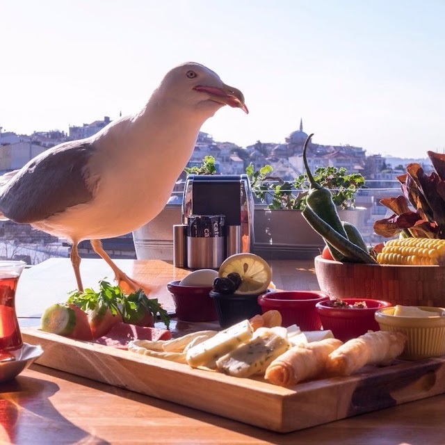 Trend 216 Cafe Restaurant