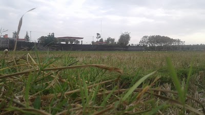 local-government-office