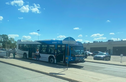 Confederation Terminal - Visual