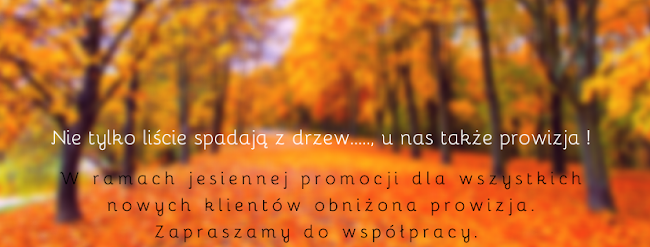 Avista Nieruchomości