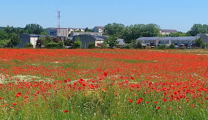 Photo n°7 de Val 60 - Agence Immobilière Clermont à Clermont (Agence immobilière)