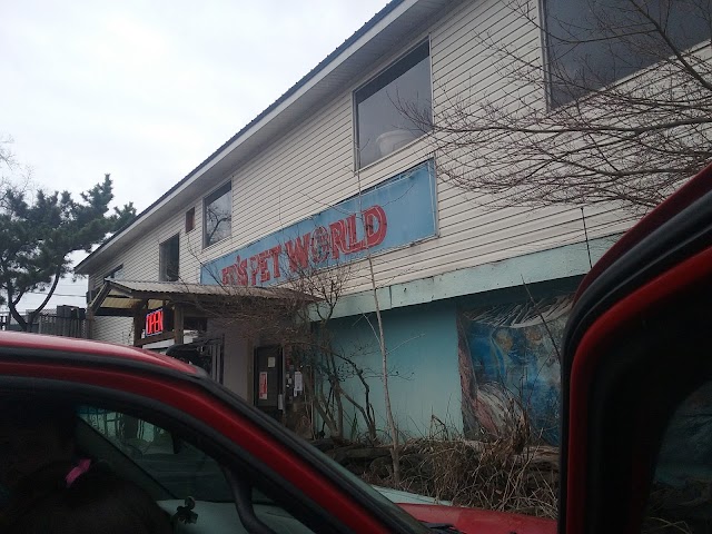 Ed's Pet World