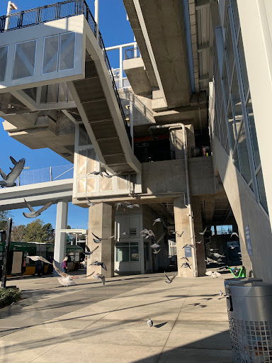 Northgate Station - Bay 4 - Thumbnail
