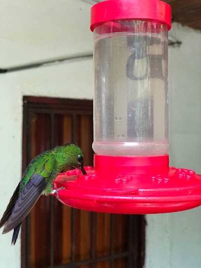 Photos of Entrance to Monteverde Reserve