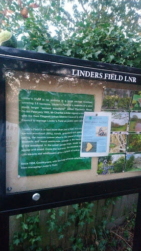 Linder's Field Local Nature Reserve - Thumbnail