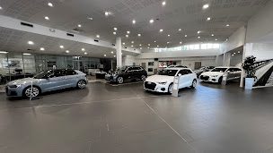 Photo n°9 de Cotrans Automobiles Sainte-Clotilde à Saint-Denis (Vendeur de voitures d'occasion)