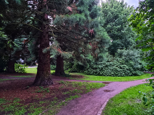 Park Dornheim
