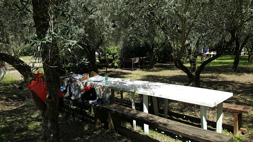 Il Giardino Di Diana - Thumbnail