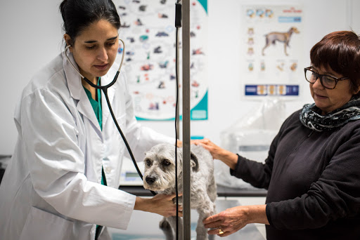 VeganVET veterinària