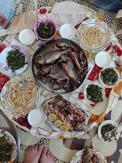 Photos of الفوار