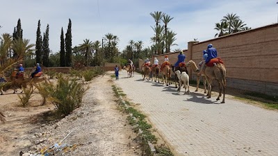 Photos of Travel Services Morocco | Morocco Holidays | Morocco Travel