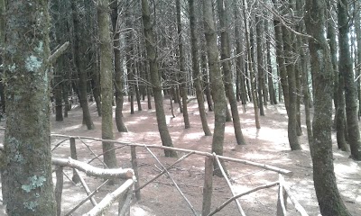 Photos of sendero ecologico el aprisco