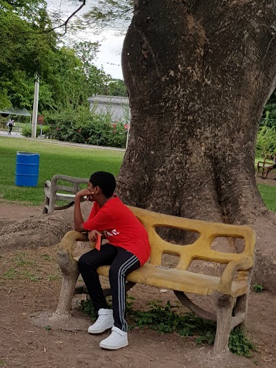 park