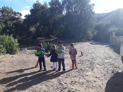 Photos of Zona Reforestada