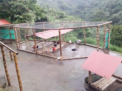 Photos of Fog&oacute;n de Palo