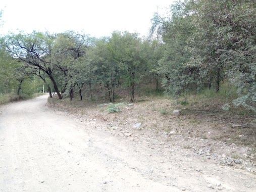 Paseo de los Pájaros, Author: Sergio Borghetti