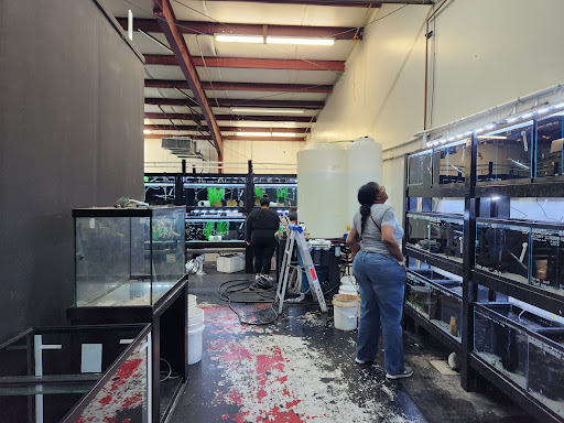 Houston Aquarium Warehouse - Thumbnail