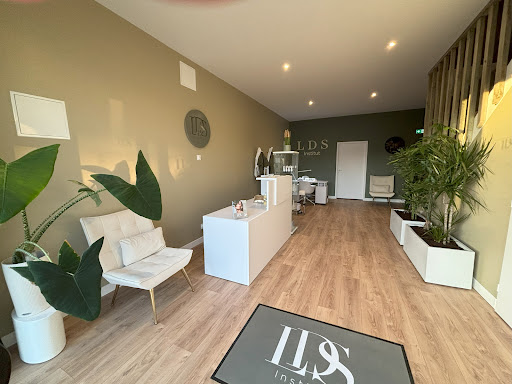 LDSinstitut - Visual