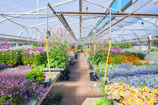 Blumen Bauer - Visual
