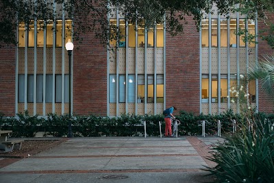 Architecture & Fine Arts Library