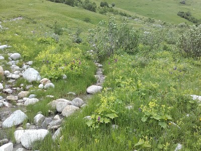 Photos of Central Shkhara Mountain