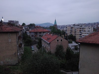Photos of Hostel and Guest House Rose