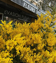 Photo n°53 de EVASION FLEURIE à Saint-Priest (Cave à vins)