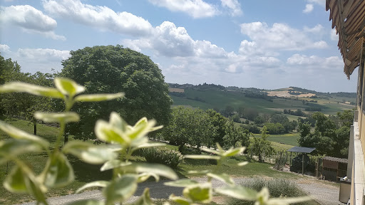 Cascina Moncucchetto - Thumbnail