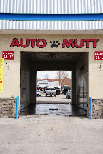 Auto-Mutt Dog & Car Wash