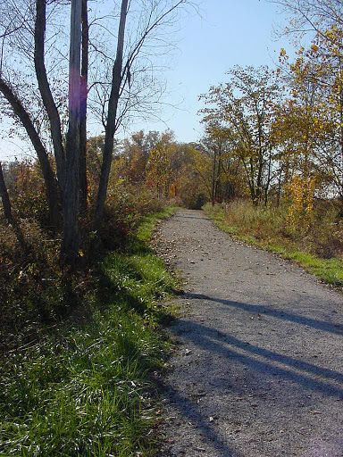 Vandalia Trail, Fillmore parking lot - Thumbnail