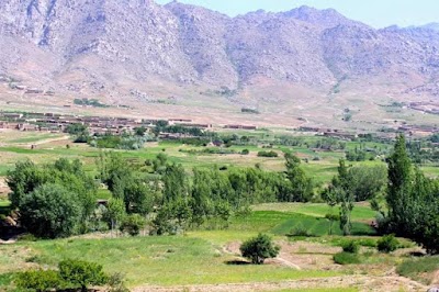 Wardak