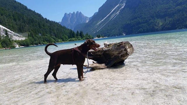 Lac de Predil