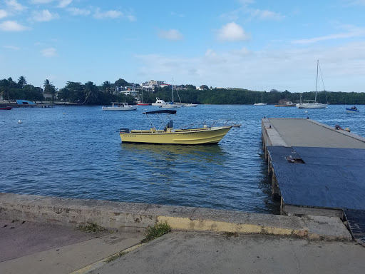 Capitan Mingo Water Taxi - Thumbnail