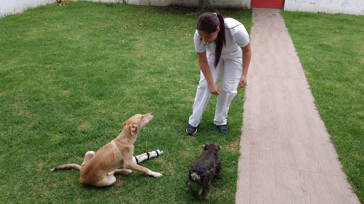 Exotic Vet