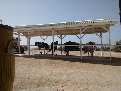 Photos of The Gold Mine Ranch Aruba