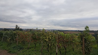 Photos of A.T.U Wiesbaden - Dotzheim