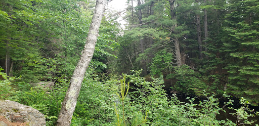 First Falls - Visual