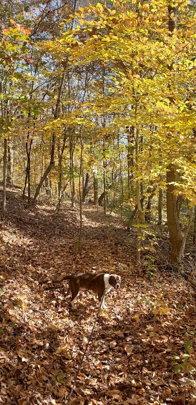 Johnson Ridge Small Wild Area