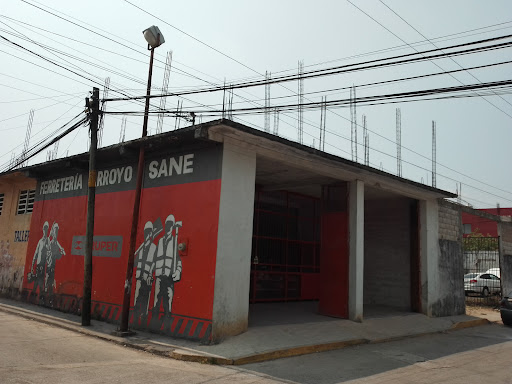 Arroyo Sane - Visual